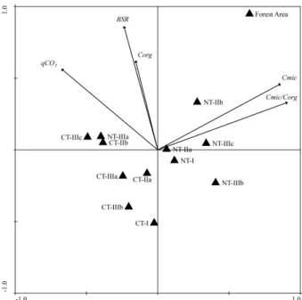 Figure 1 - PCA of the influence of each variety (C mic , BSR, qCO 2 ,  C org  and C mic /C org ) on the distribution of soil management systems  (NT: no-tillage; CT: conventional tillage) and crop rotations I,  IIa, IIb, IIIa, IIIb and IIIc (Table 2)