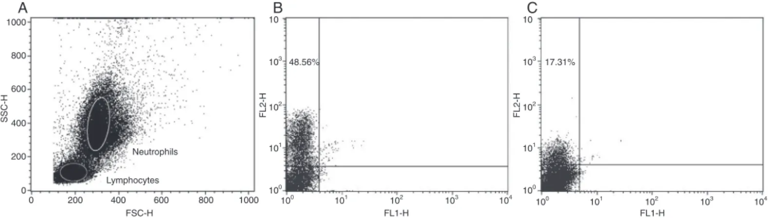 Fig. 1. Strategy for flow cytometry analysis. Sequence of procedures used for analysis of the percentage of cell populations by flow cytometry