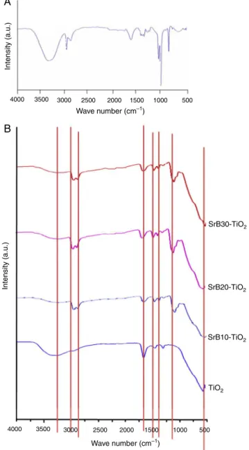 Fig. 1. (A) FTIR spectrum of SrB extract 80 wt%. (B) FTIR spectra of TiO 2 , SrB/TiO 2 -10, SrB/TiO 2 -20 and SrB/TiO 2 -30 nanomaterials.