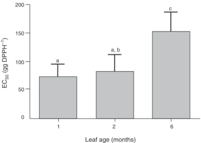 Fig. 3. Leaf age effects on the free radical scavenging capacity of Ilex paraguariensis aqueous extracts
