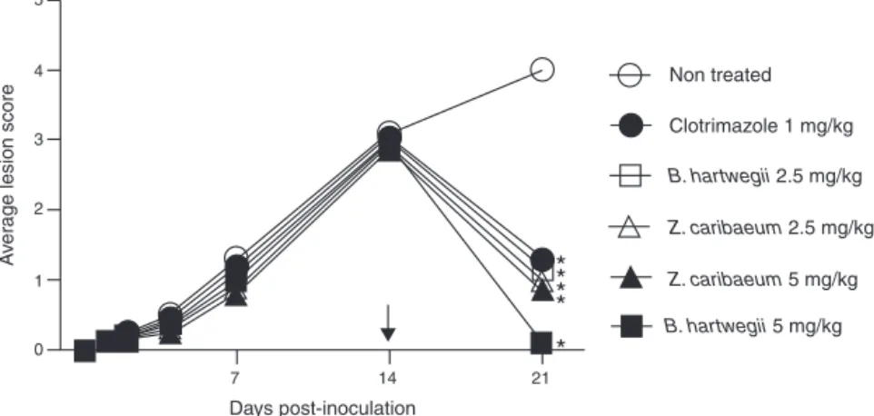 Fig. 1. The macroscopic improvement of skin lesions in experimental tinea pedis in Balb/c mice treated with 2.5 and 5 mg/kg of B