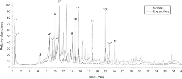Fig. 1. Total ion current (TIC) chromatograms of E. grandiflora and E. killipii leaves extracts obtained in negative mode