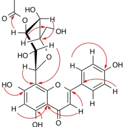 Fig. 2. Structure and key HMBC (H → C) of compound 10.
