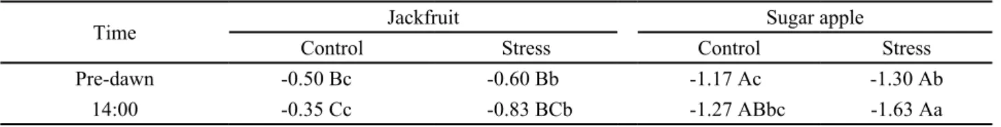 Table 1 - Leaf water potential (Ψ l ) (MPa) of two species fruit measurement at pre-dawn and 14:00 h in young plants well hydrated  (control) and drought (stress)