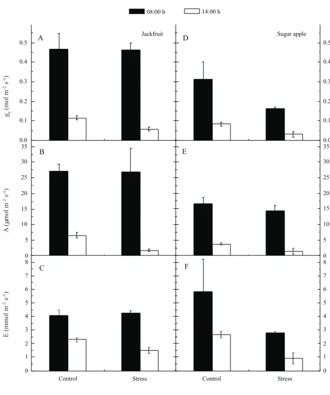 Figure 2 - Gas exchange responses of young plants of two species fruit, jackfruit (A, B, C) and sugar apple (D, E, F) under water deficit  period of eight days