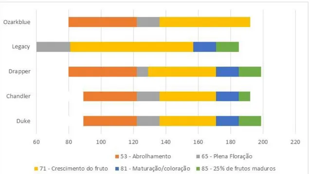 Figura 3.1 – Número de dias a contar do dia 1 de janeiro de 2016, para a ocorrência  das diferentes fenofases, em 5 cultivares de mirtilo, instaladas em solo, no concelho de  Vila Verde