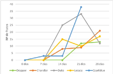 Figura 3.2 – Comparação de 5 cultivares de mirtilo, relativamente ao número de  frutos com alteração de consistência, em diferentes momentos pós-colheita