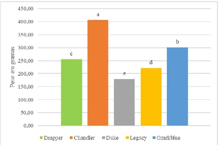 Figura 3.5 - Comparação do peso de 100 bagas, 7 dias depois da colheita, em 5  cultivares  de  mirtilo