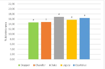 Figura 3.11- Comparação do teor (%) de matéria seca, 7 dias após a colheita, em  5  cultivares  de  mirtilo
