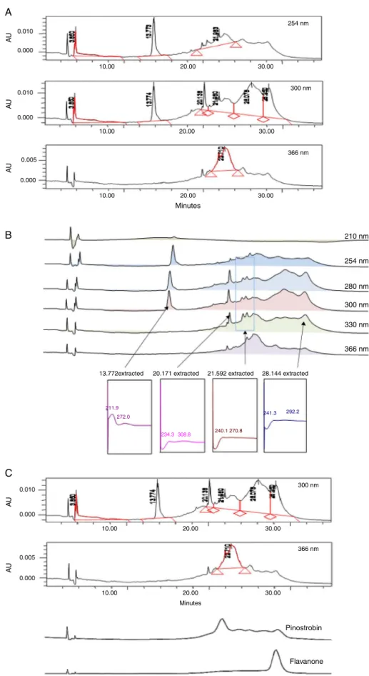 Fig. 12. (A) The HPLC profile of PEMC at different wavelengths (i.e. 254, 300 and 366 nm)