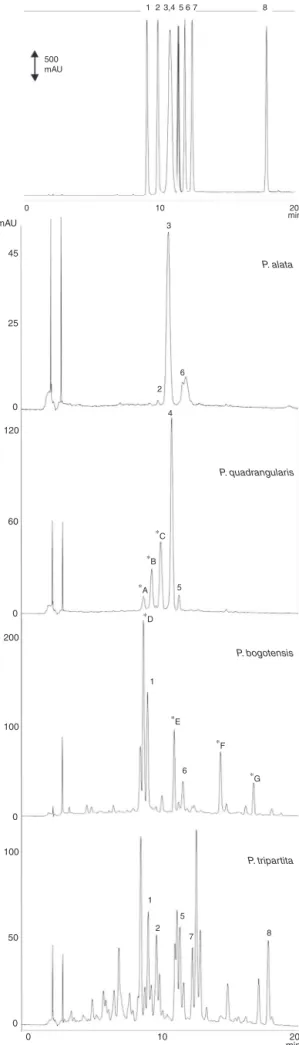 Fig. 1. HPLC chromatograms of flavonoids standards (upper chromatogram; nor- nor-malized view) and aqueous extracts of the leaves of Passiflora species