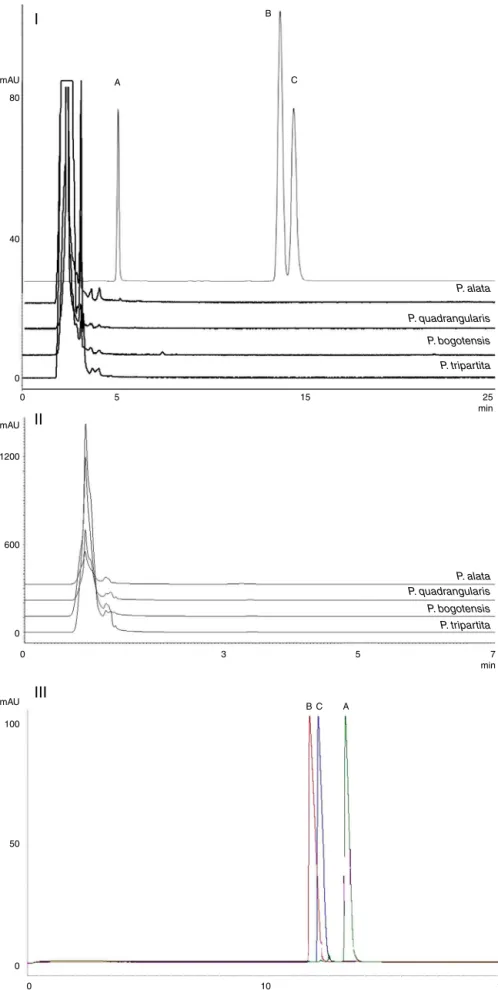 Fig. 4. Chromatograms (I: HPLC; II: UPLC) and electropherogram (III) of alkaloids standards (A: harmol; B: harmane; C: harmine) and of aqueous extracts of the leaves of Passiflora species