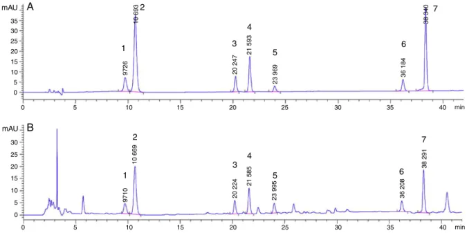 Fig. 2. HPLC chromatogram of the mixed reference substance (A) and sample (B). (1) Liquiritin apioside, (2) liquiritin, (3) isoliquiritin apioside, (4) isoliquiritin, (5) liquiritigenin, (6) isoliquiritigenin and (7) glycyrrhizic acid.