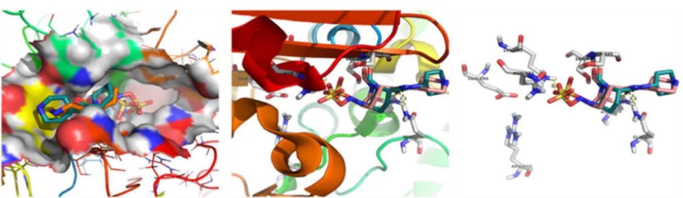 Fig. 8. Putative binding pose of compound 2-hydroxy-9,10-anthraquinone with Beta-lactamase (4NK3)