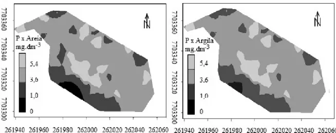 Figura 5 - Mapas de isolinhas de P, estimados por cokrigagem utilizando areia e argila como co-variável