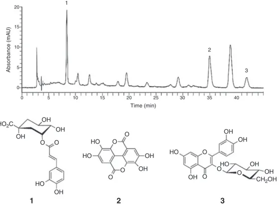 Fig. 1. Chromatogram at 340 nm obtained by HPLC-DAD of hydroethanolic extract from Spondias mombin leaves