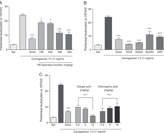 Fig. 2. Effect of hydroethanolic extract of the Spondias mombin leaves on leukocyte migration induced by carrageenan in an acute peritonitis model