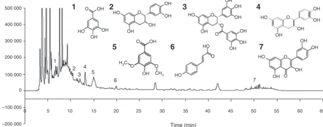 Fig. 1. Chromatogram of acerola bagasse flour extract, with peak identification: (1) Gallic acid (time = 6.541 min); (2) catechin (time = 10.419 min); (3) epigallocatechin gallate (time = 11.987 min); (4) epicatechin (time = 13.139 min); (5) syringic acid 
