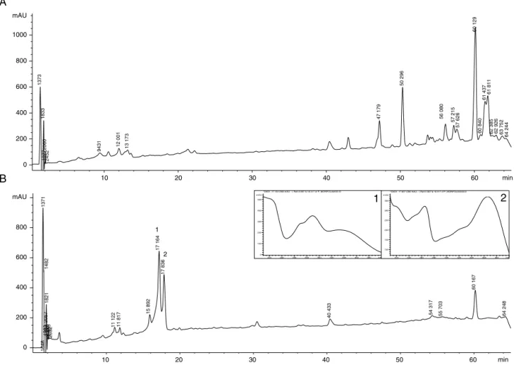 Fig. 2. Chromatographic profile of crude extract MUL (A) and fraction SF1 (B) with UV spectra obtained online for peaks 1 and 2.
