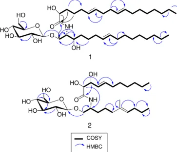 Fig. 1. Selected COSY and HMBC correlations of compounds 1 and 2.