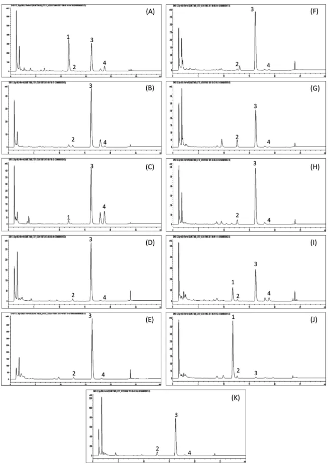 Fig. 2. HPLC chromatogram of hydromethanolic extract of Stephania venosa roots sample collected from various locations of Thailand (detection at 280 nm)