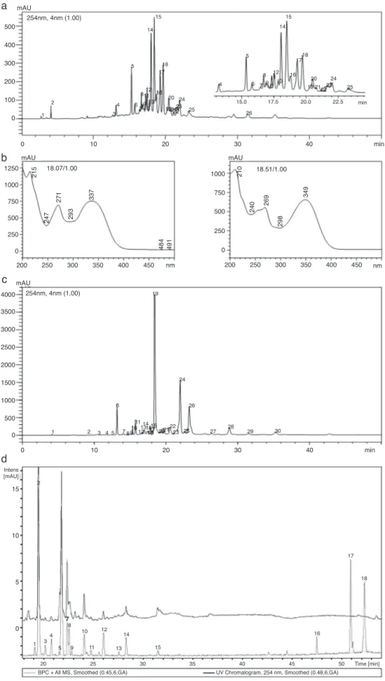 Fig. 5. Passiflora mucronata crude extract chromatogram at 254 nm (A). Ultraviolet spectra of crude extract chromatogram major peaks, at t R 18.07 min (peak 14) and 18.51 min (peak 15) (B)