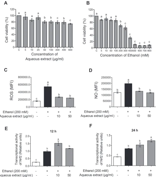 Fig. 2. Cell viability of Baccharis trimera aqueous extract (5–600 ␮g/ml) (A) and ethanol (5–800 mM) (B) for 24 h measured by MTT assay