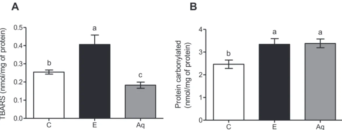 Fig. 4. Effect of Baccharis trimera aqueous extract on the level of TBARS (A) and carbonylated protein (B) in the livers of rats
