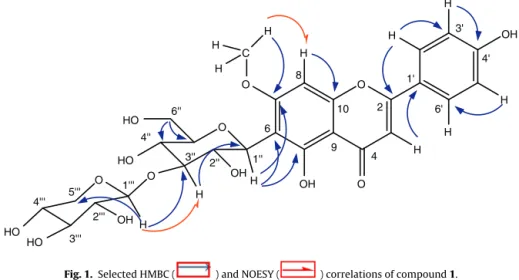 Fig. 1. Selected HMBC ( ) and NOESY ( ) correlations of compound 1.