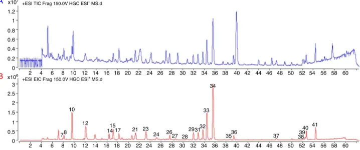 Fig. 1. The total ion chromatogram of HGC (A) and extracted ion chromatogram of 25 identified compounds (B).