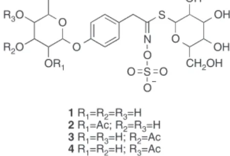 Fig. 1. UHPLC-ESI-qTOF-MS analyses in negative ionization mode of hydromethanolic extracts from 2 kGy gamma irradiated Moringa oleifera showing base peak intensity (BPI) chromatograms of 4-(␣-l-rhamnopyranosyloxy)-benzyl glucosinolate (␣-rhamno GS), acetyl