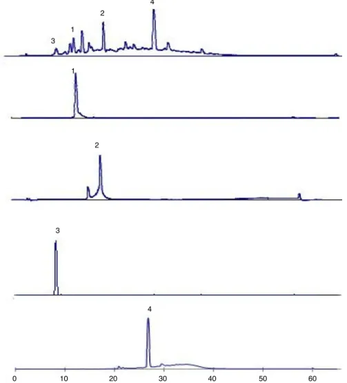 Fig. 1. HPLC fingerprint of methanol extract of Terminalia laxiflora and their isolated compounds