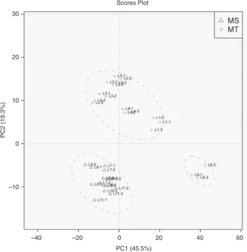Fig. 1. Distribution of Echinodorus scaber, E. grandiflorus and E. sp. on the plan of the first two principal components PC1 and PC2 (64.8% variance explained).