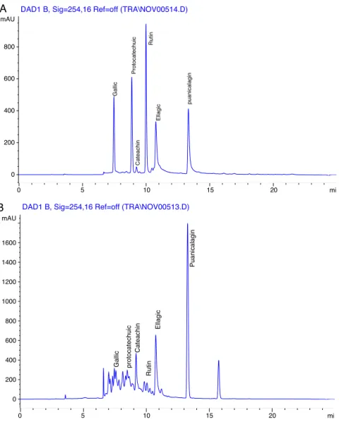 Fig. 1. HPLC chromatogram of standards (A) and pomegranate peel extract (B) at 254 nm.