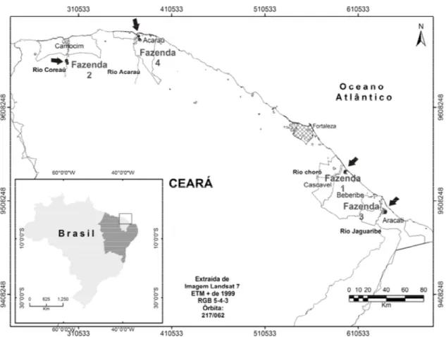 Figura 1 - Localização das quatro fazendas de carcinicultura no Estado do Ceará