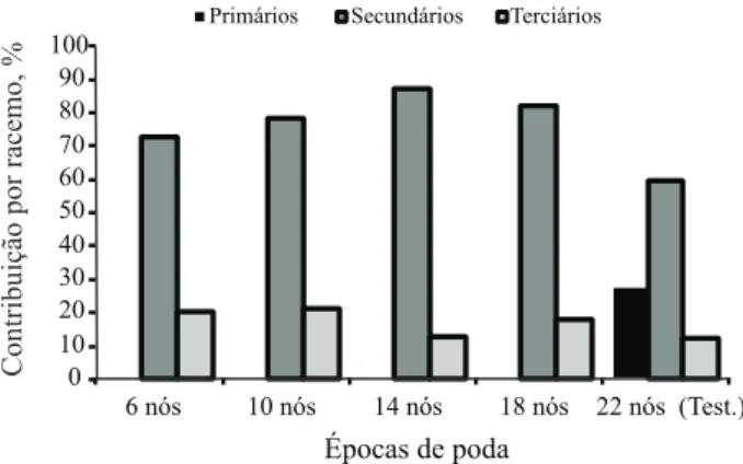 Figura 5 - Contribuição relativa dos racemos de primeira a terceira  ordem, no espaçamento 2,0 m x 2,0 m, na produtividade total da  mamoneira cultivar BRS Nordestina, Quixadá-CE, 2007