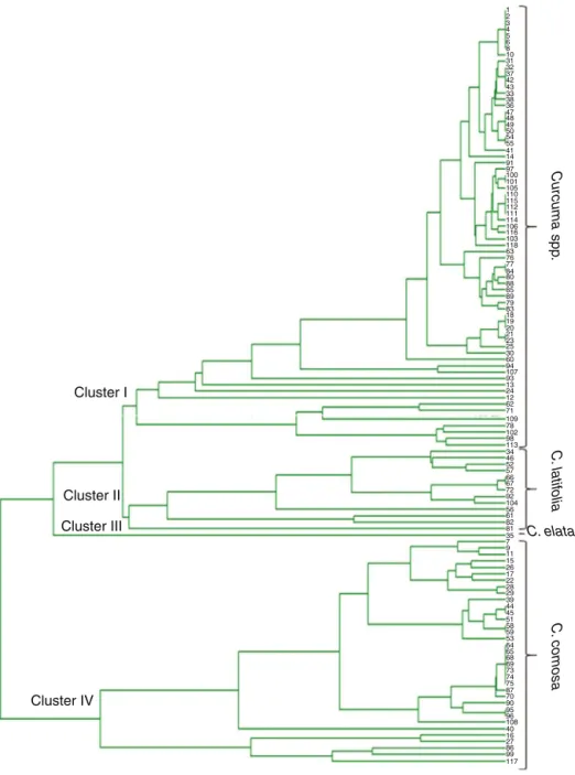 Fig. 1. Phylogenetic tree illustrating the relationship among 118 accessions as inferred by AFLP analysis.
