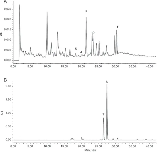 Fig. 2. HPLC chromatographic fingerprint of (A) Curcuma latifolia extract (sample No. 104) and (B) C