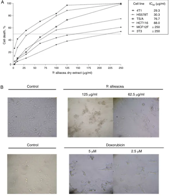 Fig. 1. Petiveria alliacea dry extract show cytotoxic activity on breast cancer cell lines