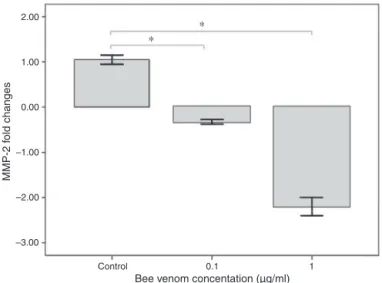 Fig. 5. Effect of bee venom on the activity of MMP-2 enzyme in human A172 glioblastoma cells