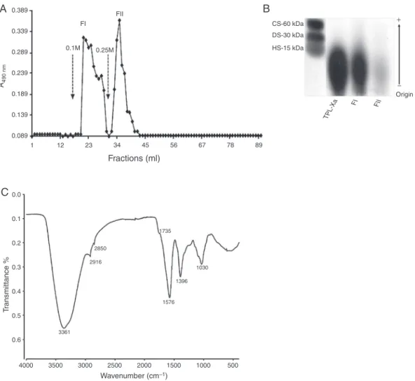Fig. 1. Partial purification and characterization of polysaccharides from Ximenia americana barks