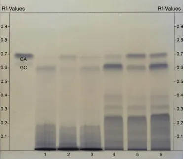 Fig. 1 shows the HPLC fingerprints of FAE from samples A, B, and C. There is a good similarity between the samples regarding their peak retention time; however, the peaks have different  pro-portions