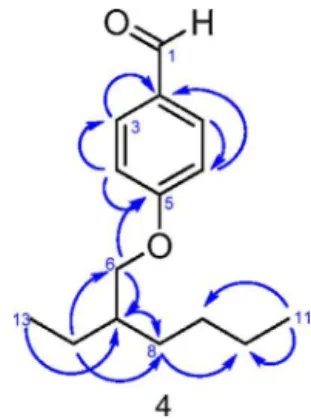 Fig. 2. Selected HMBC correlations of (4) p-oxy-2-ethylhexyl benzaldehyde.
