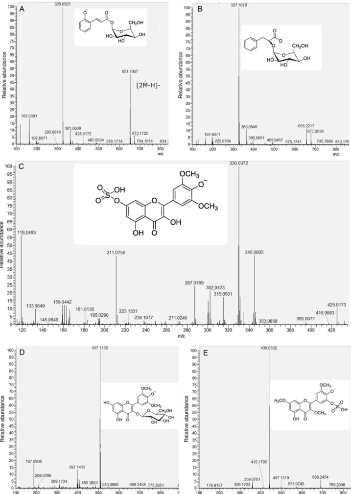Fig. 3. (A–H) Examples of Full MS spectra and structures of metabolites for peaks 9, 14, 24, 26, 28, 31, 38 and 39, respectively.