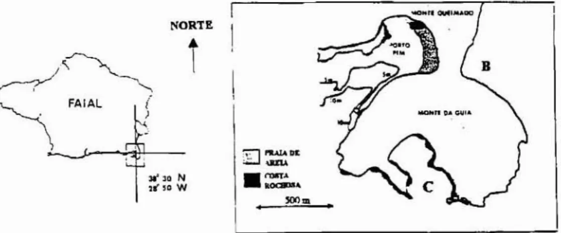 Figura 1 .  Localimq50  dos locais de estudo  (B-  Baia de Entre  Montes; C- Cddeitinhas) na Reserva  do  Monte  da Guia