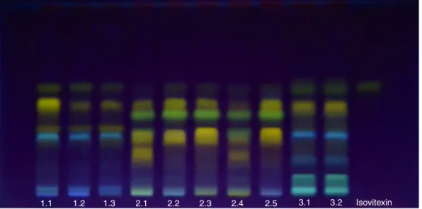 Fig. 1. Thin-layer chromatography profile of Samples 1.1–1.3 (Passiflora actinia), Samples 2.1–2.5 (P