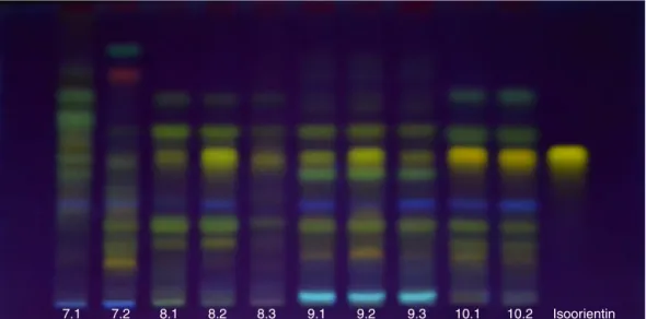 Fig. 3. Thin-layer chromatography profile of Samples 7.1–7.2 (Passiflora edulis f. edulis), Samples 8.1–8.3 (P