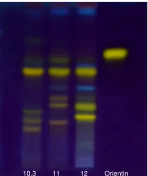 Fig. 8. Thin-layer chromatography profile of Sample 10.3 (Passiflora urnifolia), Sam- Sam-ple 11 (P