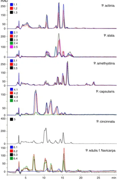 Fig. 10. Overlay of the chromatograms obtained by high-performance liquid chro- chro-matography for samples of Passiflora edulis f