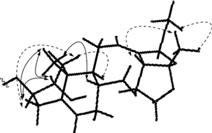 Fig. 1. Key HMBC correlations of compound 1.